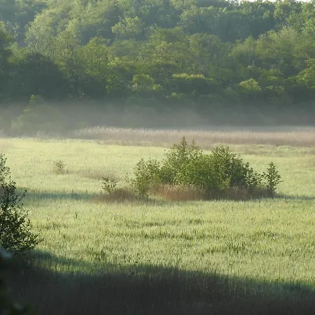 Aa *