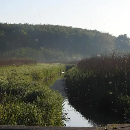 Aa דירה אברופ