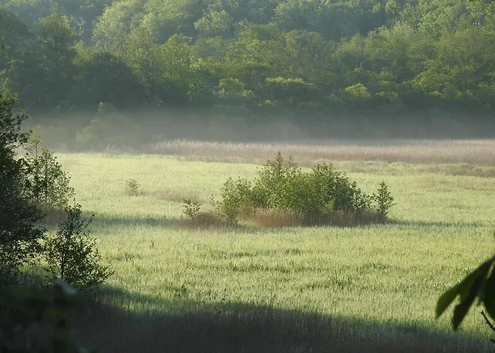 Aa *